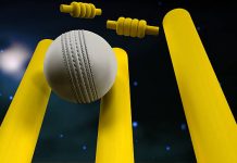 Cricbet99 Is Becoming the Chill Spot for Online Gamers Cricbet99