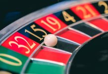 Reddybook Is the Platform That’s Making Players Stay Longer Than Planned reddybook