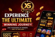 The Complete Player’s Guide to Online Entertainment: Features, Community, and What Makes a Great Platform Xx5