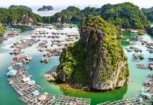 What to Know Before Visiting Vietnam (Apps, Language, Payments) Affordable Vietnam Tour Packages for Indian Families