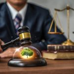 What Makes National Green Tribunal Lawyers Different — and Why It Matters National Green Tribunal lawyers