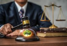 What Makes National Green Tribunal Lawyers Different — and Why It Matters National Green Tribunal lawyers