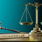 What to Expect During Your Immigration Case in Dallas Dallas Immigration Attorney