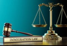 What to Expect During Your Immigration Case in Dallas Dallas Immigration Attorney