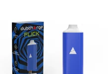 Legal Requirements for Discreet 510 Batteries in New York discreet 510 battery for smoking accessories