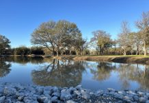 Which RV Parks Near Hillsboro, Texas, Should You Check for Same-Day Reservations? reserve an RV site online