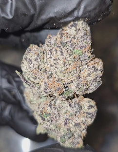 Buy legal cannabis flower online Buy legal cannabis flower online