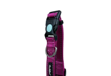 Dog Harness vs Collar: Which Option Is Best for Your Dog? canine harness