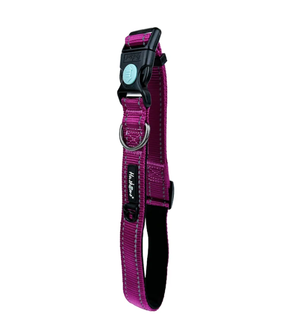 canine harness canine harness